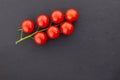 Fresh ripe branch tomato red cherry tasty harvest black background copy space Royalty Free Stock Photo