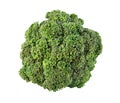 Fresh ripe broccoli tree with green leaves isolated on white Royalty Free Stock Photo