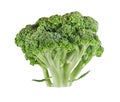 Fresh ripe broccoli tree with green leaves isolated on white Royalty Free Stock Photo