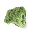 Fresh ripe broccoli tree with green leaves isolated on white Royalty Free Stock Photo