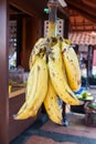 Fresh Ripe Bunch of Bananas. Royalty Free Stock Photo