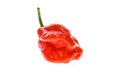 Fresh ripe Caribbean Red Habanero hot chili pepper Royalty Free Stock Photo