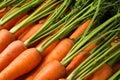Fresh ripe carrots as background, closeup Royalty Free Stock Photo