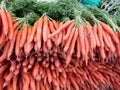 Fresh ripe carrots on farmer market Royalty Free Stock Photo