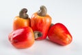 Fresh ripe cashew fruits isolated on white background