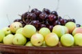 fresh ripe cherries and apricots closeup as background. beautiful fruit background Royalty Free Stock Photo