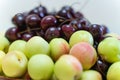fresh ripe cherries and apricots closeup as background. beautiful fruit background Royalty Free Stock Photo
