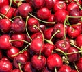 Fresh ripe cherries background Royalty Free Stock Photo