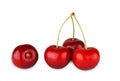 Fresh ripe cherries closeup isolated on white background Royalty Free Stock Photo