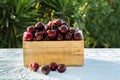 Fresh, ripe cherries Royalty Free Stock Photo