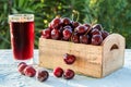 Fresh, ripe cherries Royalty Free Stock Photo