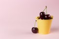 Fresh, ripe cherries in a small yellow bucket on a pink background with a copy space Royalty Free Stock Photo