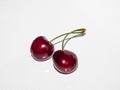 Fresh and ripe cherries with stem on a white, isolated background Royalty Free Stock Photo