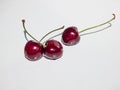 Fresh and ripe cherries with stems on a white, isolated background Royalty Free Stock Photo