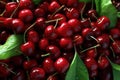 Fresh and ripe cherries with water droplets and green leaves. Generative AI Royalty Free Stock Photo