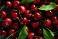 Fresh and ripe cherries with water droplets and green leaves. Generative AI Royalty Free Stock Photo