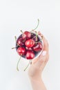 Fresh ripe cherry in a bowl with woman hands Royalty Free Stock Photo