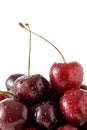 Fresh ripe cherry cherries with water drop closeup on white