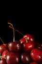 Fresh ripe cherry cherries with water drops
