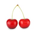 Fresh ripe cherry closeup isolated on white background Royalty Free Stock Photo