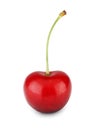 Fresh ripe cherry closeup isolated on white background Royalty Free Stock Photo