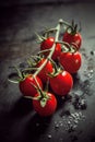 Fresh ripe cherry tomatoes in a bunch on the vine Royalty Free Stock Photo