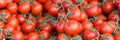 Fresh ripe cherry tomatoes with green leaves on market showcase