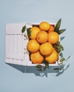 Fresh, ripe citrus fruits with leaves in a wooden box on a blue background Royalty Free Stock Photo