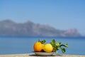 Fresh ripe citrus fruits, oranges and lemons with leaves served on terrace with sea view