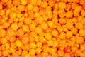 Fresh and ripe Cloudberries, Rubus chamaemorus as a Northern delicacy in Estonian bog.