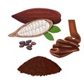 Fresh ripe Cocoa fruit. Cacao pod leaves and beans. Chocolate and powder