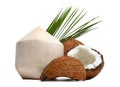 Fresh ripe coconuts with leaves on white
