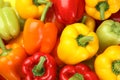 Fresh ripe colorful bell peppers as , top view