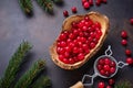 Fresh ripe cranberry in wooden bowl Royalty Free Stock Photo