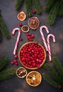 Fresh ripe cranberry in wooden bowl Royalty Free Stock Photo