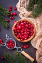 Fresh ripe cranberry in wooden bowl Royalty Free Stock Photo