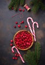 Fresh ripe cranberry in wooden bowl Royalty Free Stock Photo