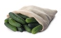 Fresh ripe cucumbers in sack on white background
