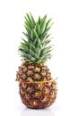 Fresh ripe cut juicy pineapple for healthy nutrition Royalty Free Stock Photo