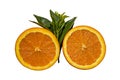 Fresh ripe cut oranges with green leaves on white background Royalty Free Stock Photo
