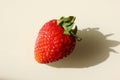 Fresh ripe delicious strawberries in glass. Food. Vitamins. Farm. Isolated. Strawberries cast a shadow. Copy space for text