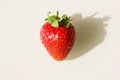 Fresh ripe delicious strawberries in glass. Food. Vitamins. Farm. Isolated. Strawberries cast a shadow. Copy space for text