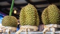 Fresh Ripe Delicious Sweet Green Durian Fruits for sale on market stall. Durian, the king of fruit, is popular snack in Southeast Royalty Free Stock Photo