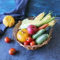 Fresh ripe diverse vegetables and fruits in a basket, on a dark background, organic natural food Royalty Free Stock Photo