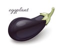 Fresh ripe eggplant isolated on white