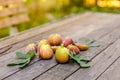 Fresh ripe figs on dark table. Healthy mediterranean fig fruit. Fresh figs on black background. Beautiful blue violet figs with Royalty Free Stock Photo