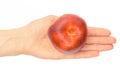 Fresh ripe fruit nectarine in hand, concept of healthy nutrition Royalty Free Stock Photo