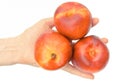 Fresh ripe fruit nectarine in hand, concept of healthy nutrition Royalty Free Stock Photo