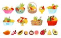 Fresh and Ripe Fruits in Basket, Crate and Bowl as Juicy Summer Food Big Vector Set