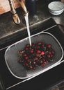 Fresh ripe garden cherries being washed in strainer, top view